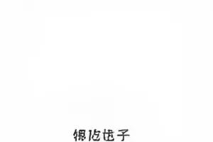 《露台晚餐》露台与空镜构图